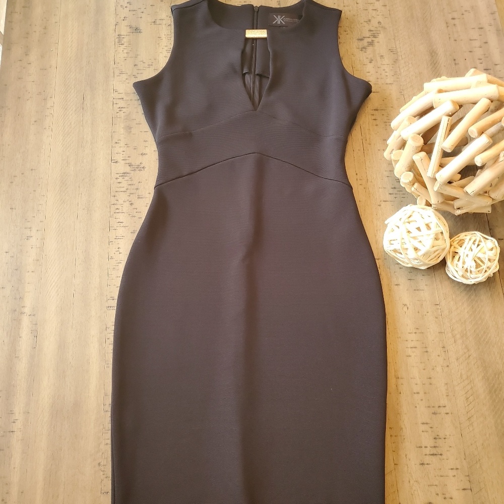 Kardashian Kollection bodycon dress